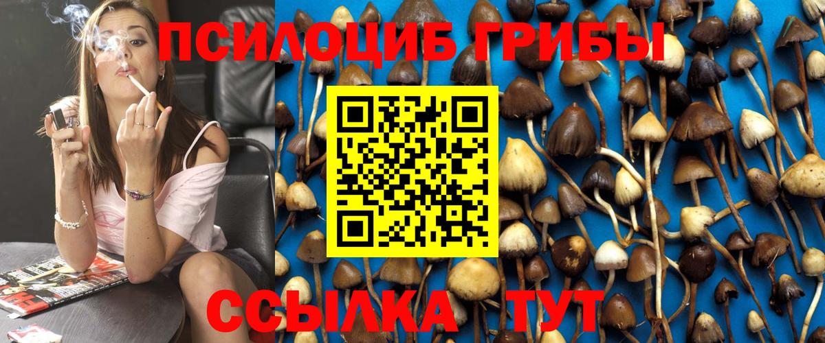 Псилоцибиновые грибы Psilocybine cubensis  Галлюциногенные грибы мухоморы  Киров  Вход с VPN 